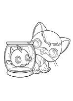 coloriage Petshop chat et poisson